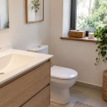 Baño pequeño con ventana y plantas en una repisa, con el lavabo despejado
